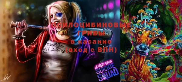 молекула духа Алексеевка