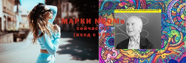 молекула духа Алексеевка